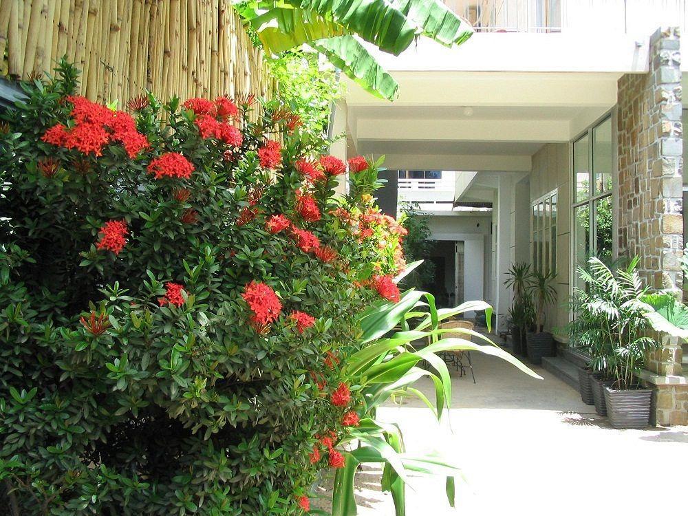 Frangipani Villa-60S Phnom Penh Exterior foto